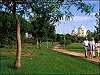 Algarve Golf Courses - Portugal Golf - Algarve Photos - Vilamoura Travel